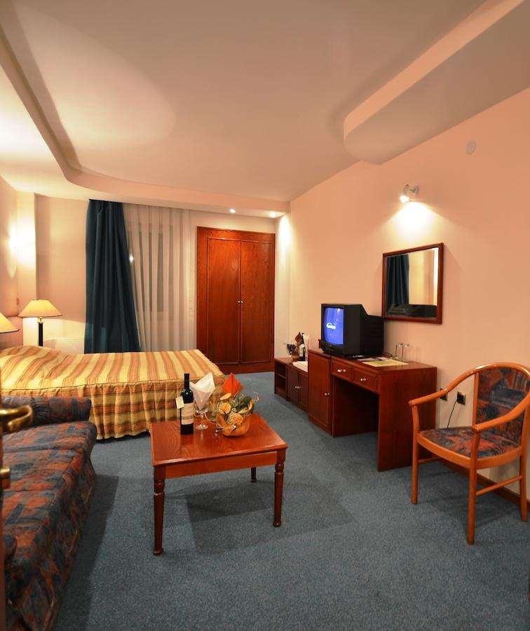 Hotel Lebed Ohrid Rum bild
